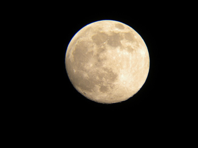 2014112442164425.jpg